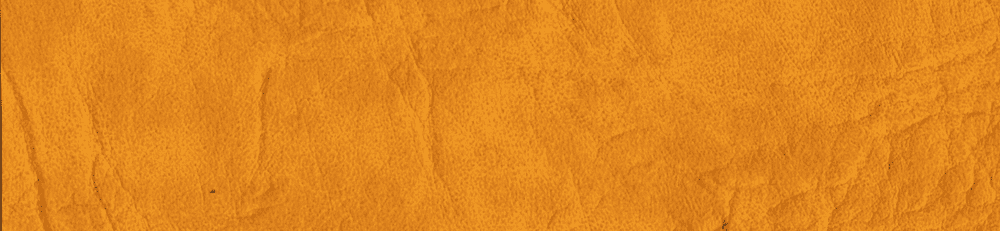 New Star (Polipiel)