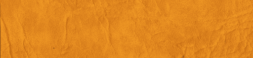 New Star (Polipiel)