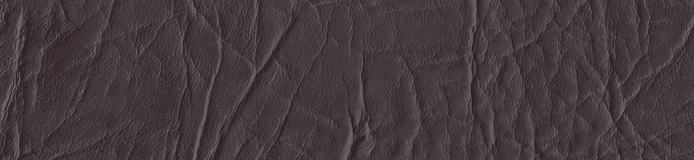 New Star (Polipiel)
